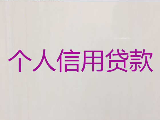 白沙抵押担保贷款-信用贷款
